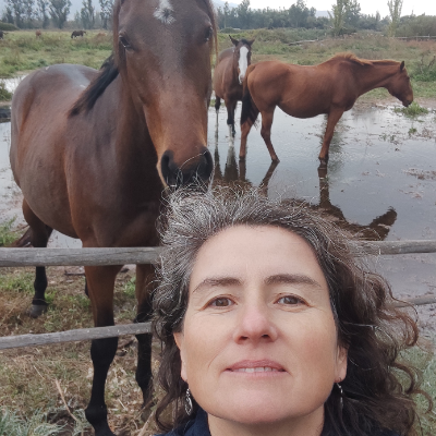 paulina corradini Coaching Empresarial Asistido con Caballos